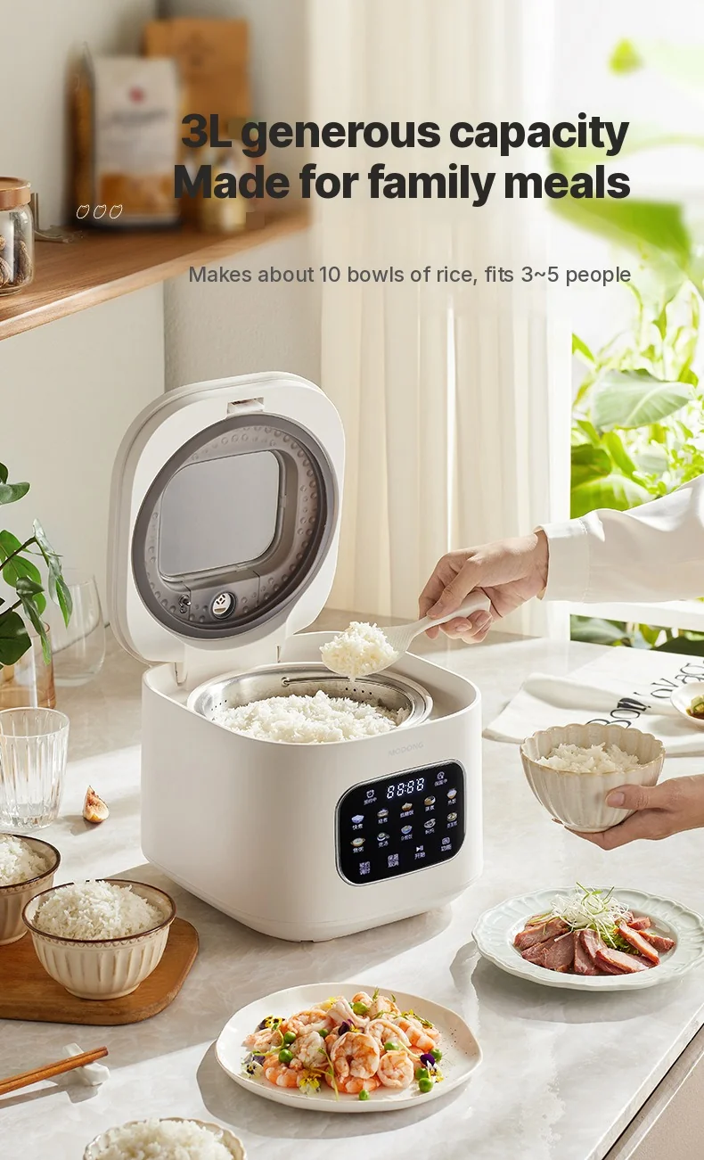 3L Electric Rice Cooker With Glass Window and Timer