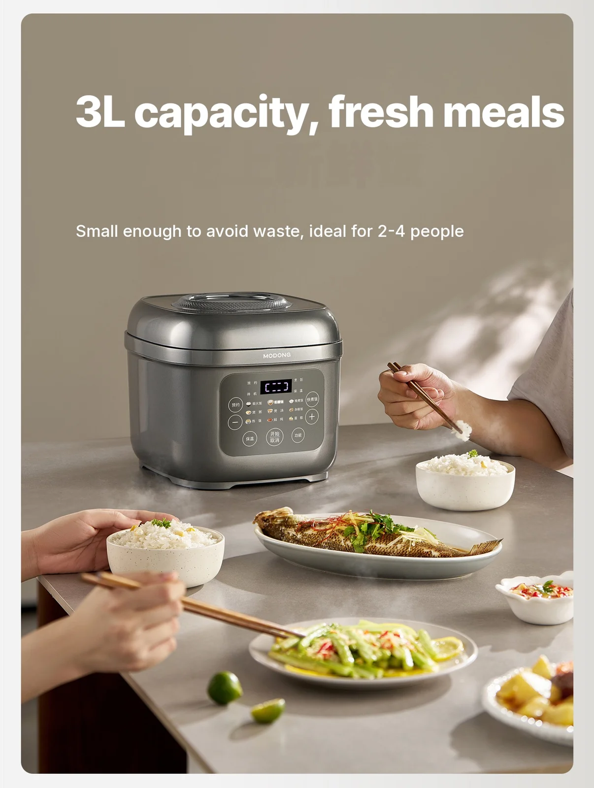 Electric Rice Cooker with Titanium Inner Pot, 2L/3L