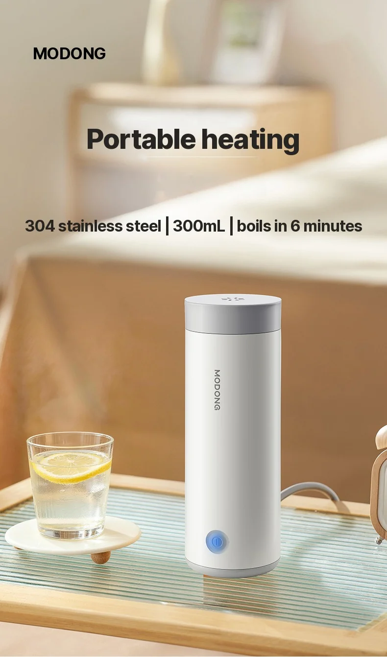 Tazza riscaldante elettrica portatile 304 in acciaio inossidabile 300ml 220V