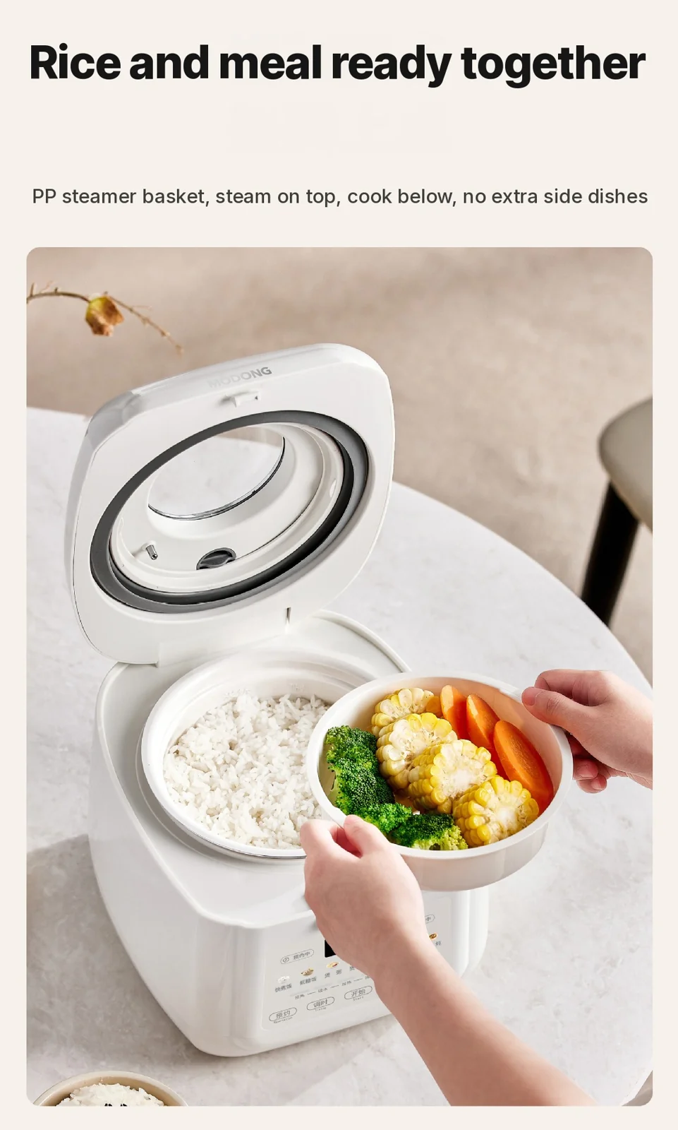 2L Electric Rice Cooker With Low-Sugar Cooking and Keep Warm