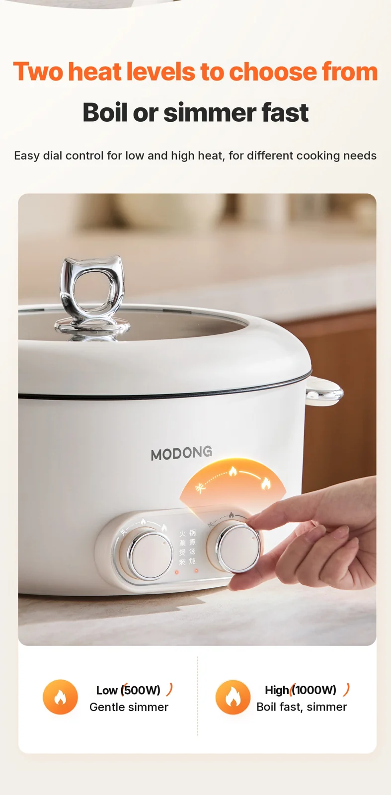 6L Dual Zone Electric Hot Pot With Independent Temperature Control