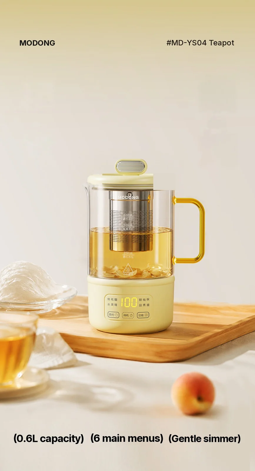סיר בריאות חשמלי מזכוכית 600ml 500W עם שמירה על חום וטיימר