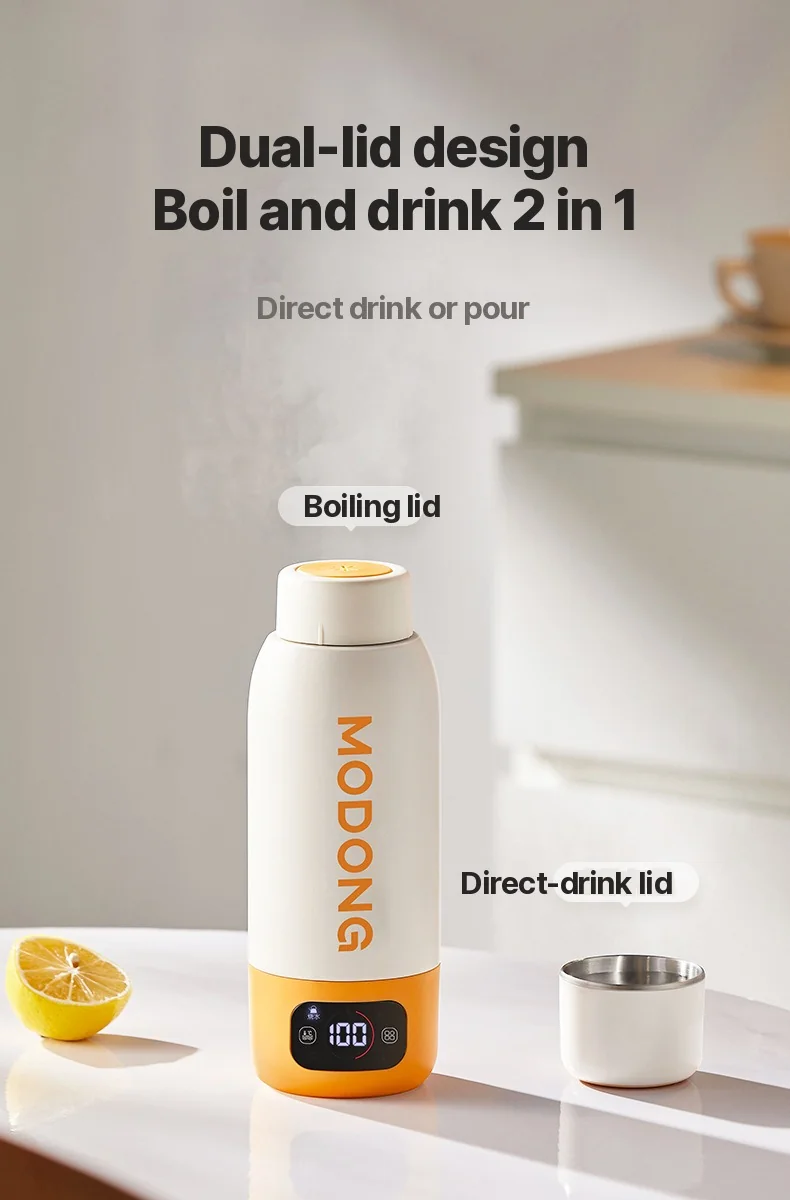 Tazza bollitore elettrica da viaggio portatile 600ml, rivestimento interno in acciaio inossidabile 316