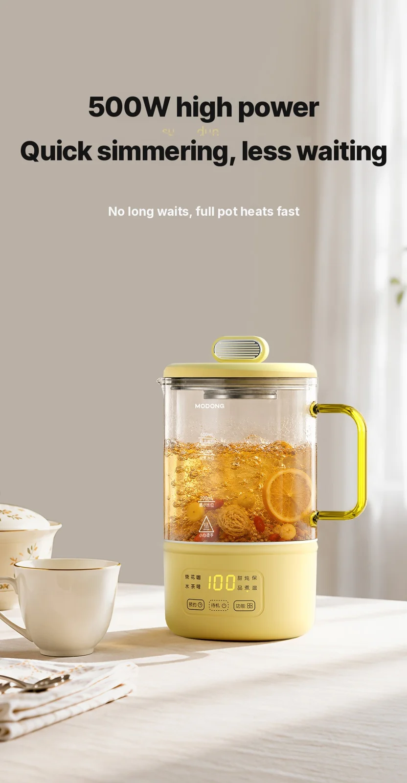 סיר בריאות חשמלי מזכוכית 600ml 500W עם שמירה על חום וטיימר