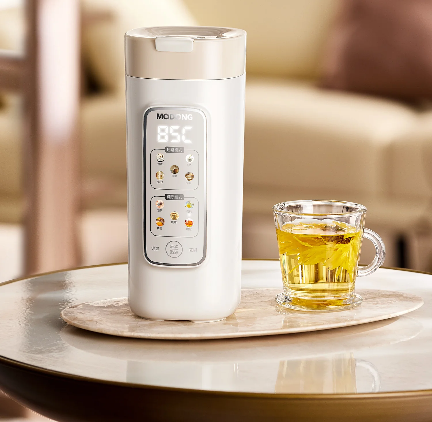 Portable Electric Water Heating Cup With Filter, 220V
