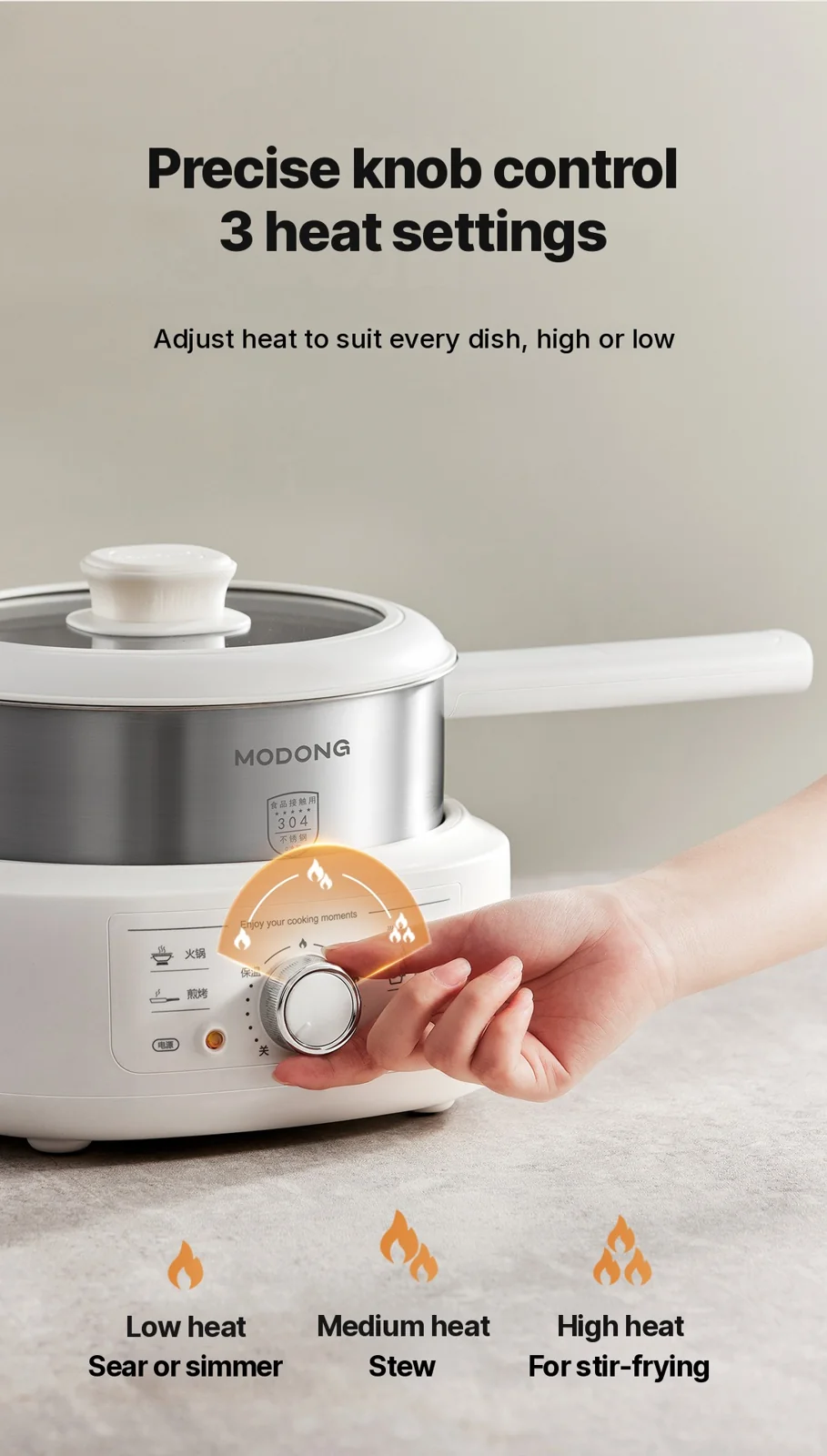 Rustfrit stål elektrisk hotpot med damper, 3L, 220V