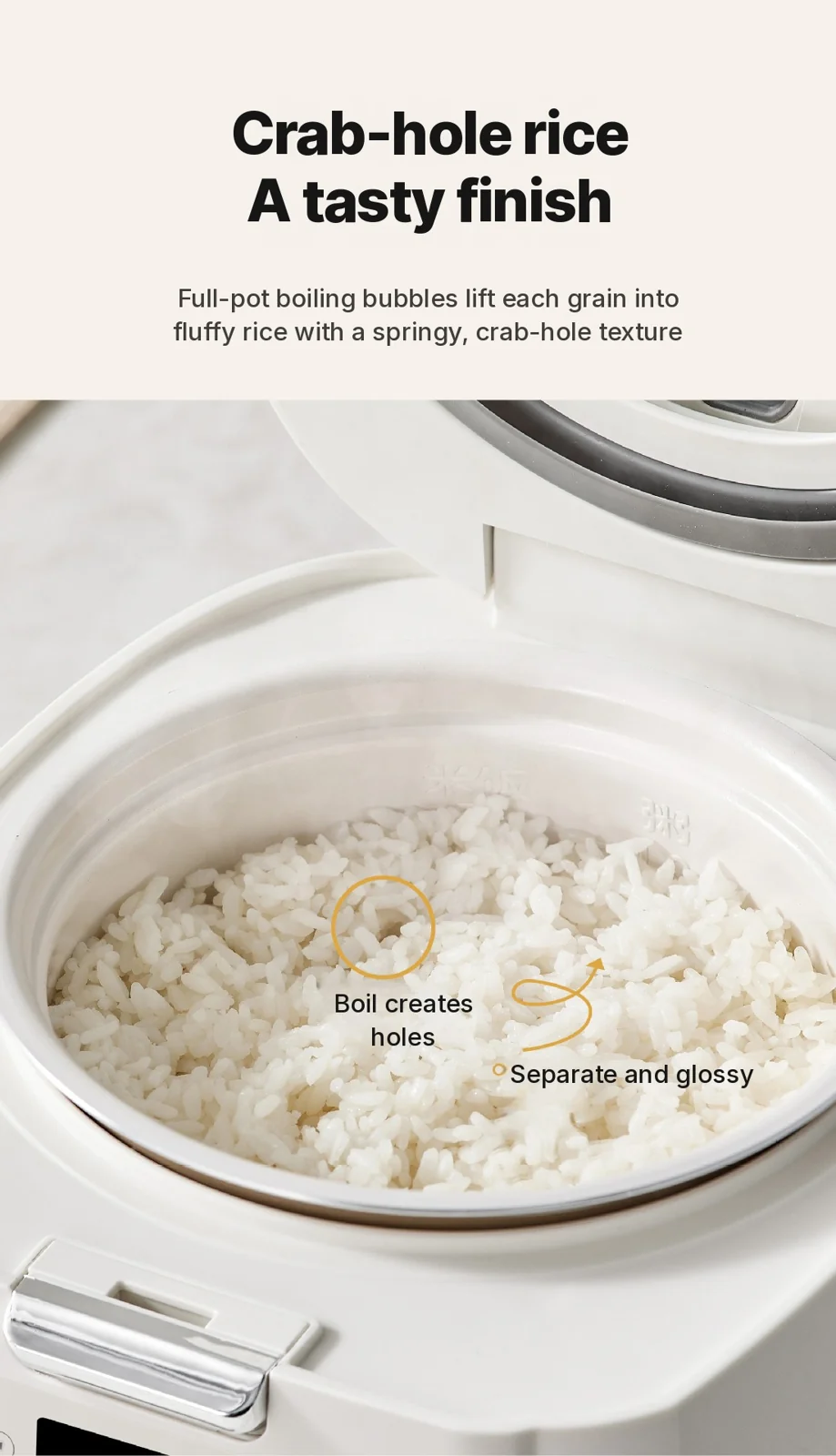2L Electric Rice Cooker With Low-Sugar Cooking and Keep Warm