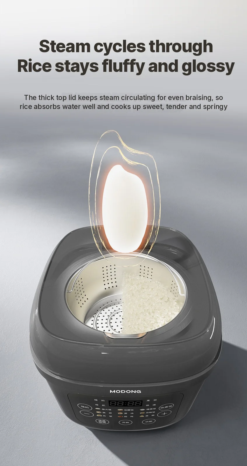 Electric Rice Cooker with Titanium Inner Pot, 2L/3L