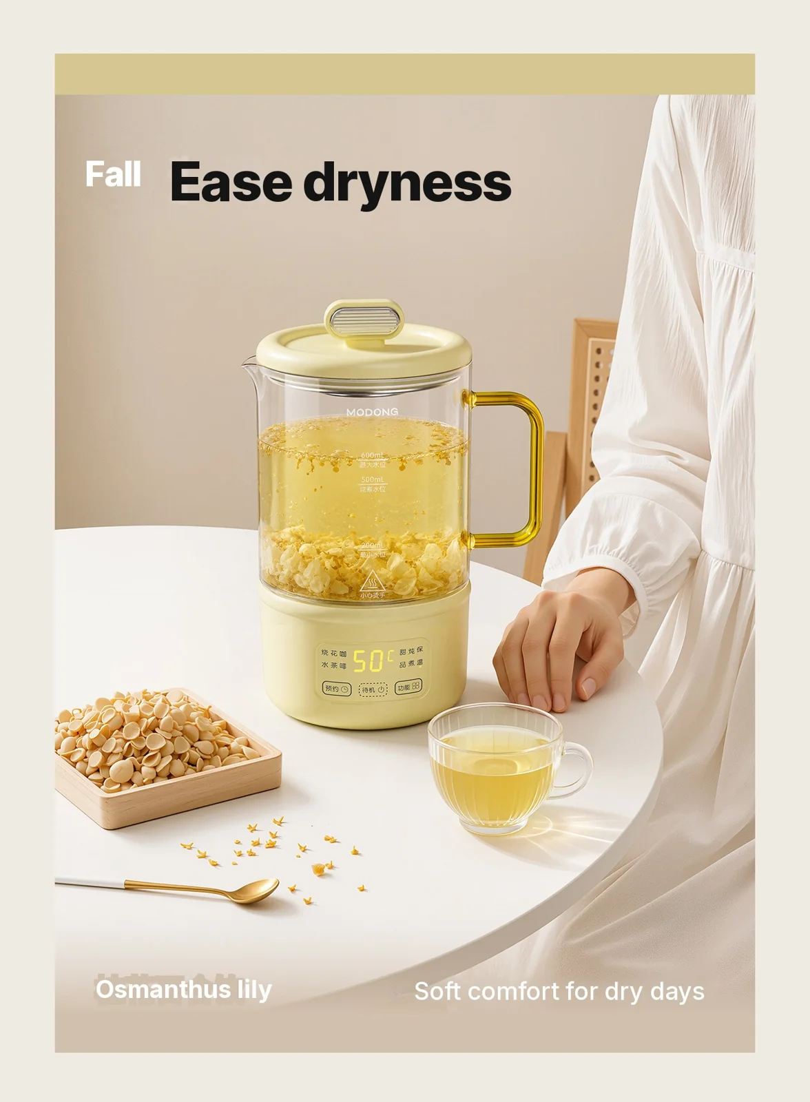 סיר בריאות חשמלי מזכוכית 600ml 500W עם שמירה על חום וטיימר