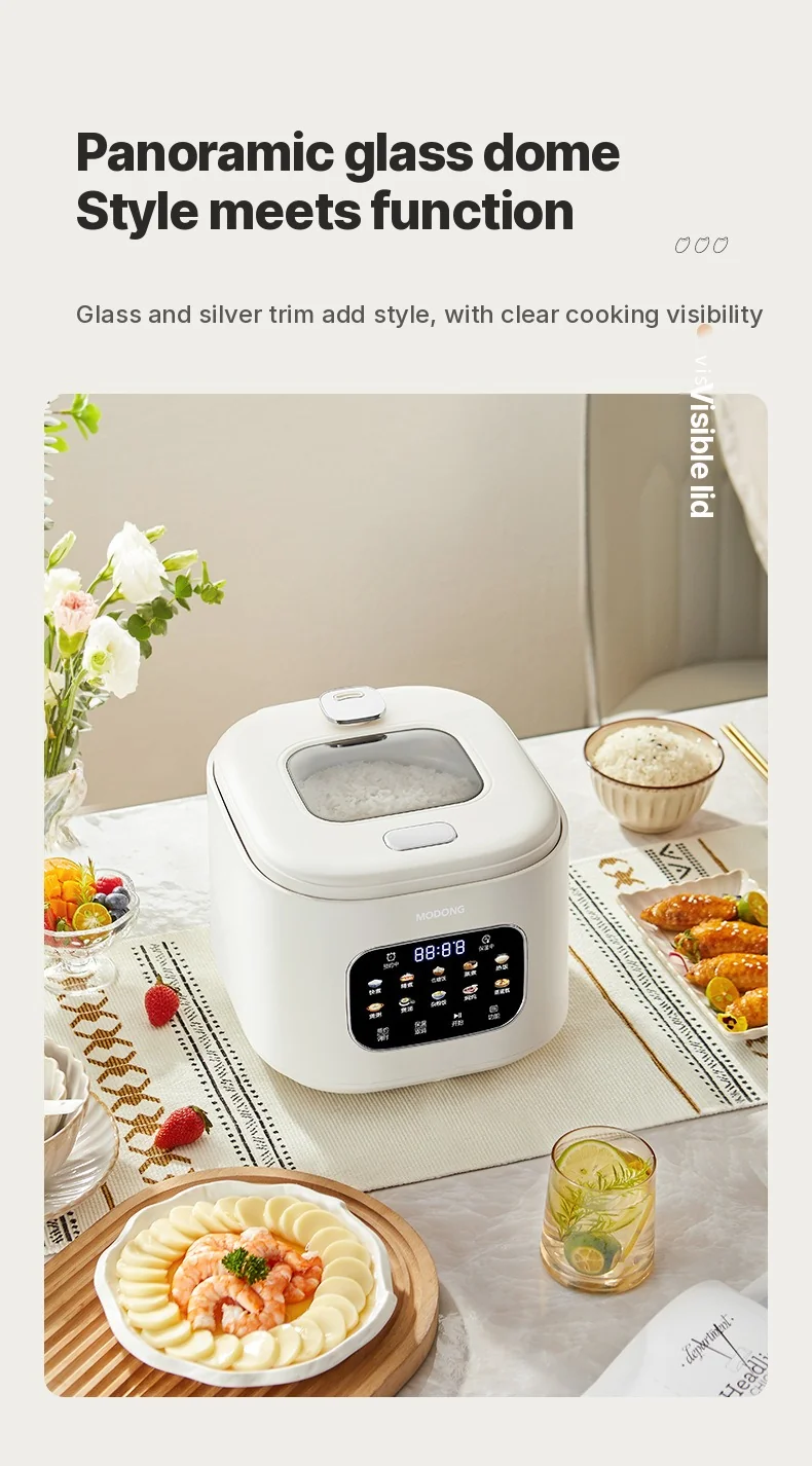 3L Electric Rice Cooker With Glass Window and Timer