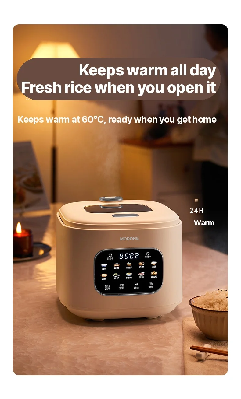 3L Electric Rice Cooker With Glass Window and Timer