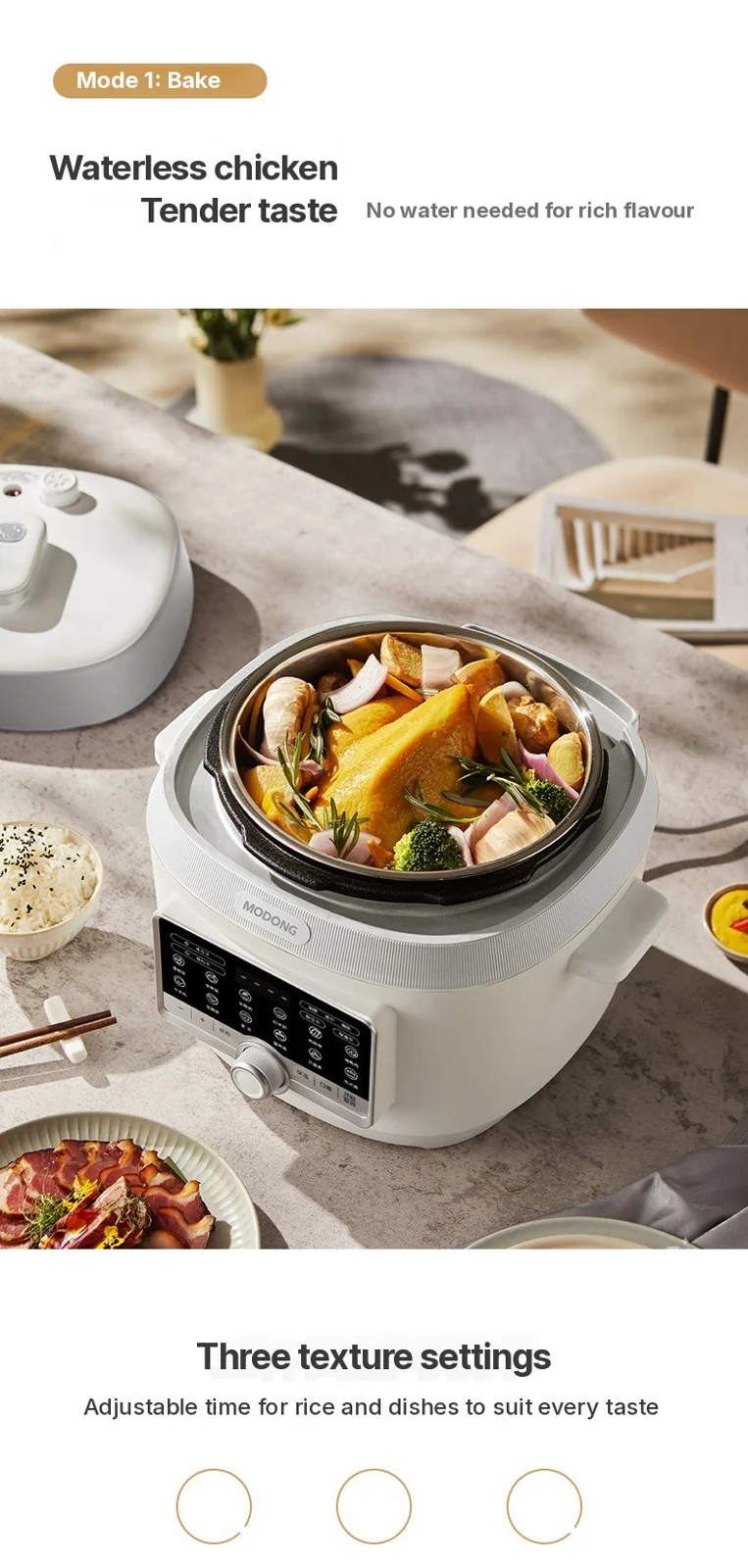 5L Electric Pressure Cooker with Double Inner Pots, 900W