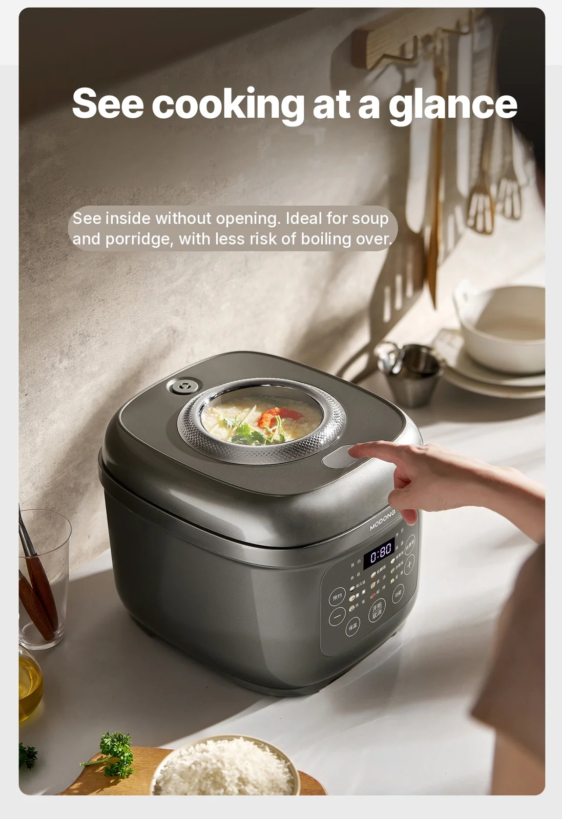 Electric Rice Cooker with Titanium Inner Pot, 2L/3L