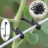 200-800 Pcs Garden Plants Vines Fixed Clips Tied Buckles Lashing Hook Kiwi Grape Cucumber Tomato Stems Fastener Gadgets Grafting