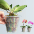 Meshpot Clear Plastic Orchid Pots with Holes and Saucers for Repotting Small Orchid Planters Root Control Orchid Transparent Pot