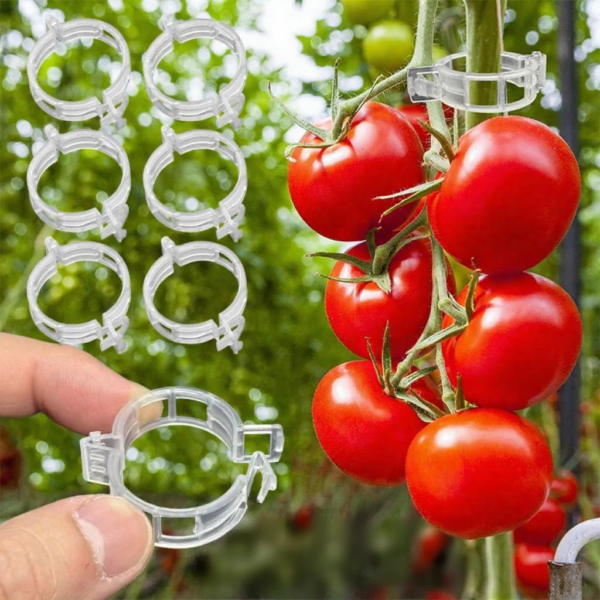 50-300Pcs Plastic Plant Support Clips Reusable Plastic Ties Trellis Stake Clips Greenhouse Holder for Garden Tools Accessories