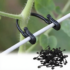 50/200/300Pcs Plant Vine Binding Clip Garden Plants Fixed Clip Buckles Tomato Vegetable Grape Support Vine Clip Fixed Plant Clip