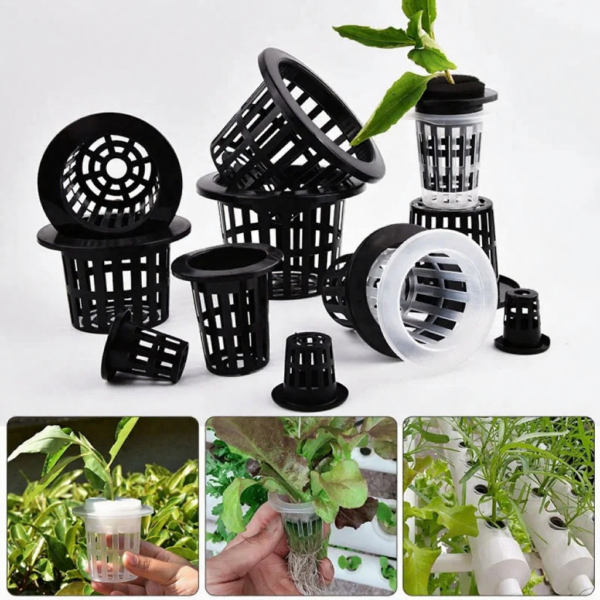 50Pcs Black White Soilless Mesh Plant Grow Pot， Net Basket Holder Vegetable Nursery Cup tray Sponge Hydroponic Colonization Pots