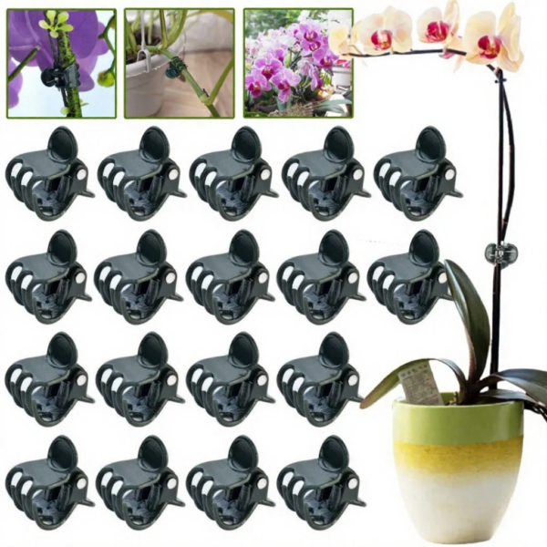 Dark Green 6-Claw Plant Clips 10-50Pcs Bundle Branch Climbing Stem Clasp Tied Orchid Flowers Support Clamps Plant Accessories Dark Green 6-Claw Plant Clips 10-50Pcs Bundle Branch Climbing Stem Clasp Tied Orchid Flowers Support Clamps Plant Accessories