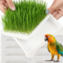 Plastic Grow Nursery Pots Cat Grass Germination Tray Pet Parrot Grass Soilless Hydroponic Bean Seedling Tray Garden Supplies