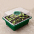 1pc Seedling Pot Green Planting Transplanting Multifunctional Gardening Planting Pot Nursing Care Seedling Box Grow Pots