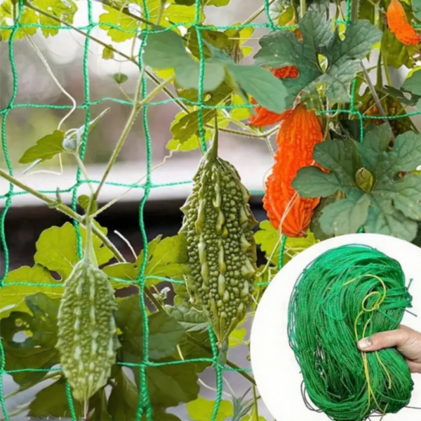 0.9-5m Thickened Nylon Plant Climbing Net Heavy Duty Vegetable Stands Protective Netting Gardening Plant Support Netting 0.9-5m Thickened Nylon Plant Climbing Net Heavy Duty Vegetable Stands Protective Netting Gardening Plant Support Netting