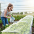 Garden Insect Protection Net Plant Vegetable Fruit Care Cover Network Greenhouse Protective Net Pest Control Anti-Bird Net