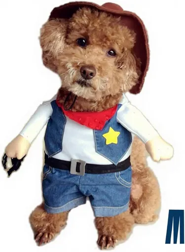 Small Dog Cowboy Costume With Hat Size Western Pet Outfit (2Pcs)