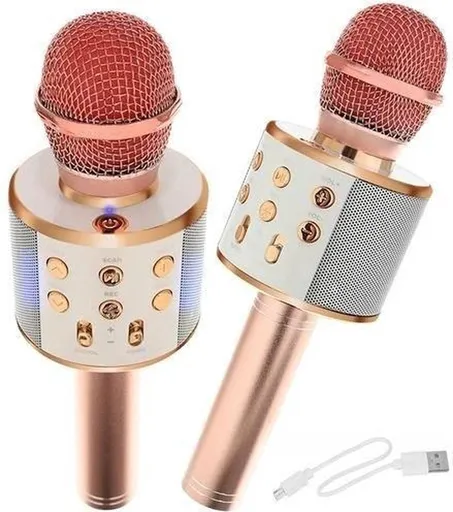 Karaoke Microphone Toy with Speaker