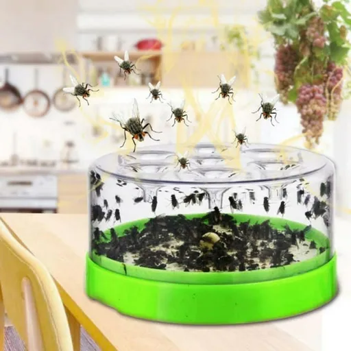 Gnat Killer for Indoor, Fungus Gnat Trap for Kitchen/Home, Fruit Fly Killer Indoors(Not Included Attractant )