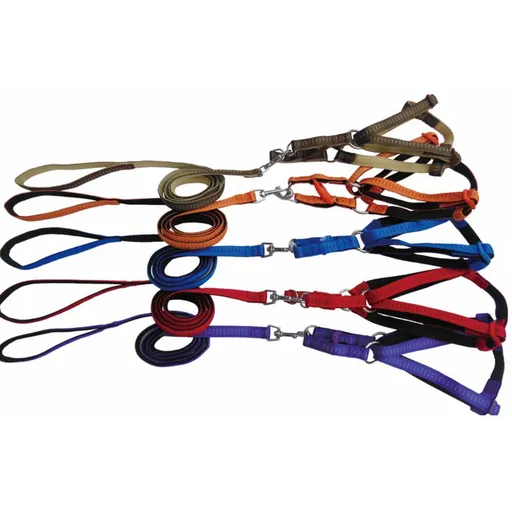 Zichen Nylon Dog Leash for Small and Medium Dogs Blue (nylon SBR foam chest pulling) 1.5