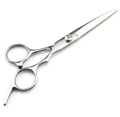 Hairdressing Scissors Stainless Steel Silver