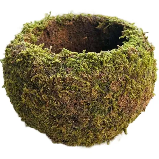 2-Pack Moss Ball, 6 Inch Decorative Moss Planter with 3 Inch Inner Pot for Orchids, Creative Bonsai Pots for Home Garden Decor (2 PCS)