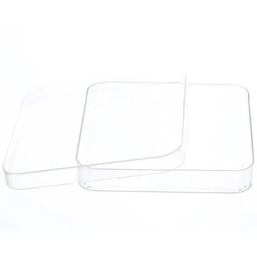 10pcs transparent Rectangular Plastic Petri Dish 100mmx100mm Pipettes for Culturing Cells and Other Scientific