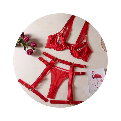 House Of Dasein Strappy Fetish Lingerie Bra Garter Underwear For Women In Black And Red - Red - L
