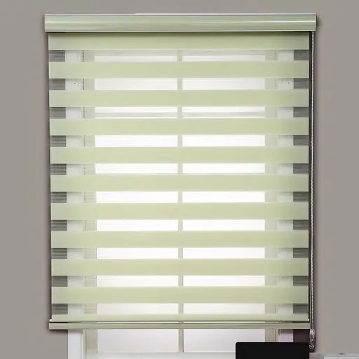 Day-Night Zebra Roller Blind, Green Light-Filtering Window Shade, 50 x 120 cm