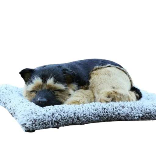 Sleepy Tails - German Shepherd Sleeping