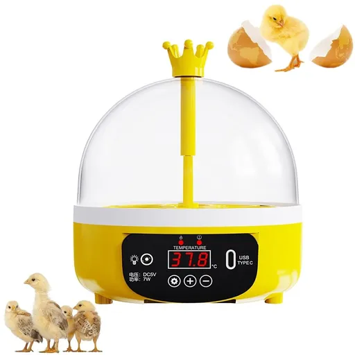 Small Household Mini Egg Incubator for Chickens Ducks & Quail - Intelligent Automatic Poultry Hatcher with Precise Temperature & Humidity Control - Transparent Observation Window - Compact Incubator