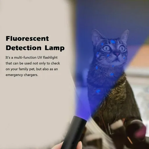 Lamp of Ringworm Uv 365nm of Test of Fungus of Charge Usb Uv of Pocket Detection of Fluorescence of