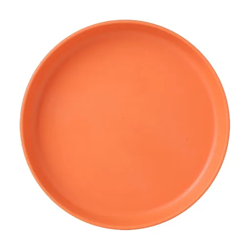 Lightweight Mini Plastic Plates, Spit Bone Dishes, Unbreakable Reusable Dinner Plates, Dishwasher & Microwave Safe, Orange