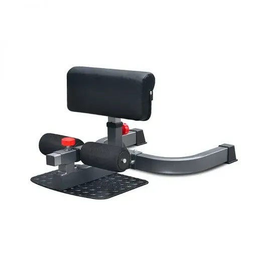 Sissy Squat Bench