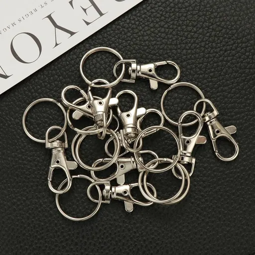 20 Sets Detachable Swivel Lobster Clasp Keychains, Metal Alloy, for Keys and Accessories