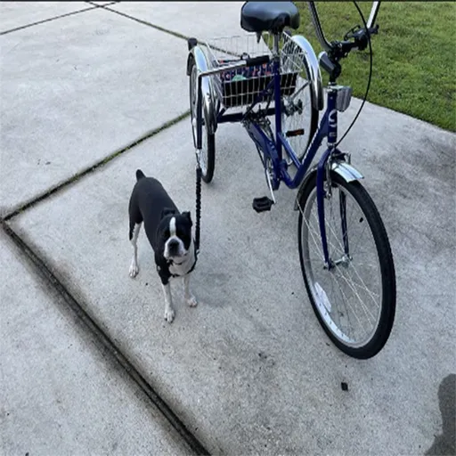 Dog Bicycle Exerciser Hands Free Bicycle Dog Mountable and detachable towing dog strap for cycling（1pcs）