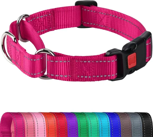 Martingale Collar for Dogs, Reflective Heavy Duty Safety, Quick Release Buckle, Adjustable Nylon Collars Medium Dogs Walking Training, Hotpink,M Hotpink M