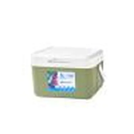 Insulated Portable Cooler, Hard Cooler with Ice Retention & Heavy-Duty Handle, Great for Beach, Picnic, Camping, Tailgating, Groceries, Boating & More