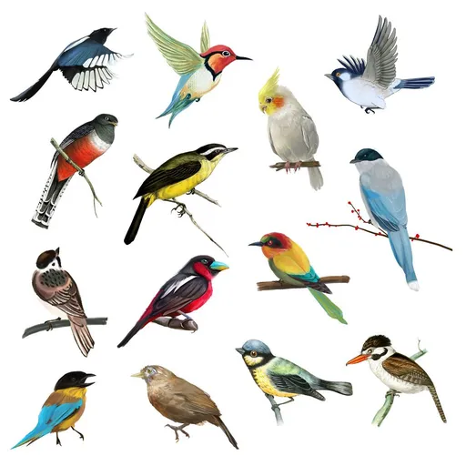 Colorful Bird Wall Decals Peel and Stick Nature Wall Sticker Wall Murals Waterproof Wall Decor for Girls Bedroom Living Room