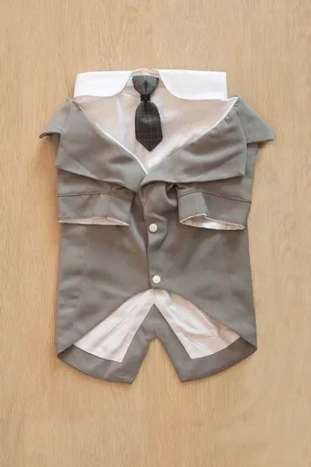 Pet Suit Dog Tuxedo Wedding little tail Polyester Light gray 5XL