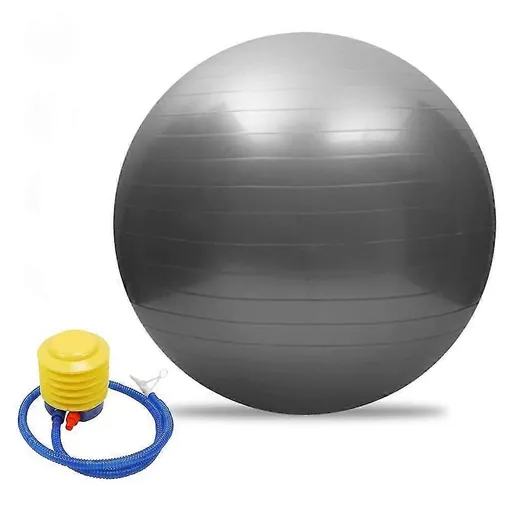 65cm Exercise Ball Extra Thick Yoga Ball Fitness Balance Trainer with Air Pump for Pilates Yoga Home Office Gym - Gray