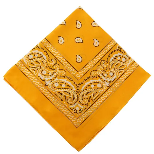 22 inch Cotton Paisley Bandana Multi Colored Set Cowboy Bandana Head Scarf Double-sided for Men & Women Orange