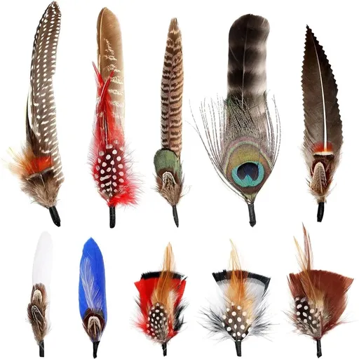 20Pcs Hat Feathers, 10 Style Colorful Natural Feathers Peacock Feathers for Hats, Pin Cowboy Hat Feather for Western Cowboy Hats Christmas Party Hats, Feathers Accessories DIY Decorations